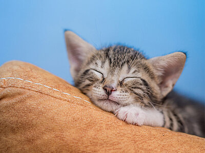 leistungen-angstfreie-behandlung-daemmerschlaf